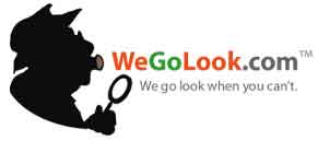 We Go Look We Go Look eBay Service